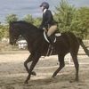 kateconnors710